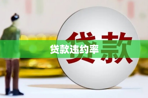 金安贷款违约率