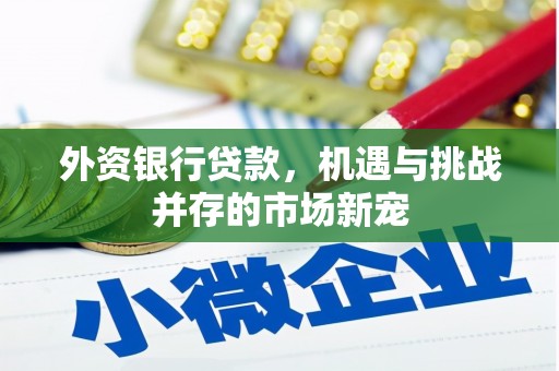 东宝外资银行贷款，机遇与挑战并存的市场新宠