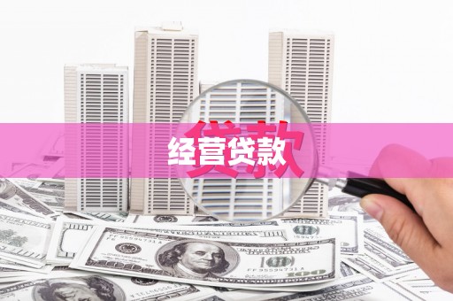 渭城经营贷款