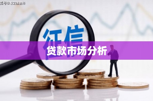 卧龙贷款市场分析