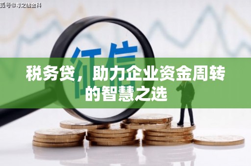 清河门税务贷，助力企业资金周转的智慧之选