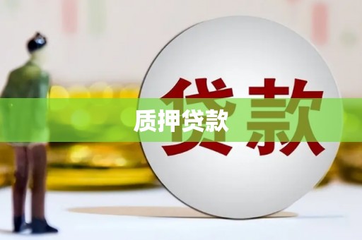 久治质押贷款