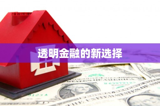 齐齐哈尔透明金融的新选择