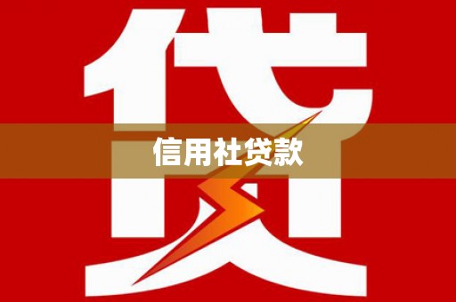 虞城信用社贷款