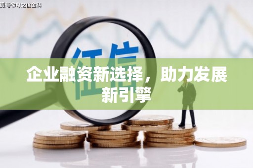 汶上企业融资新选择，助力发展新引擎