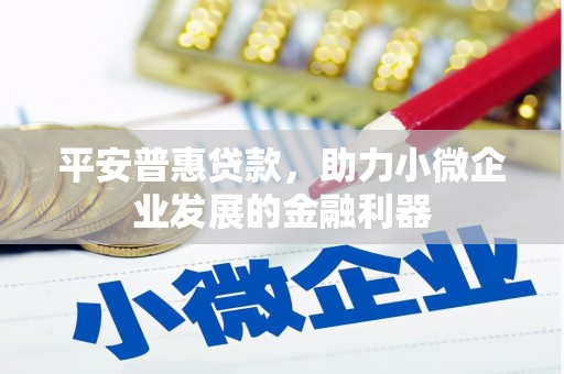 禄丰平安普惠贷款，助力小微企业发展的金融利器