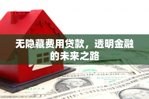 剑川无隐藏费用贷款，透明金融的未来之路