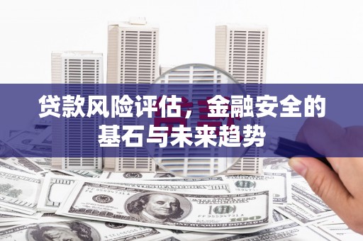 永登贷款风险评估，金融安全的基石与未来趋势