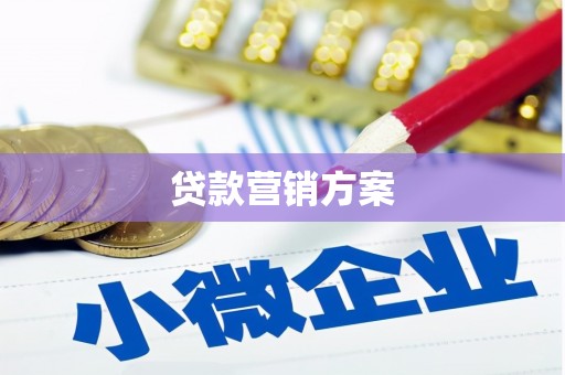 坦洲贷款营销方案