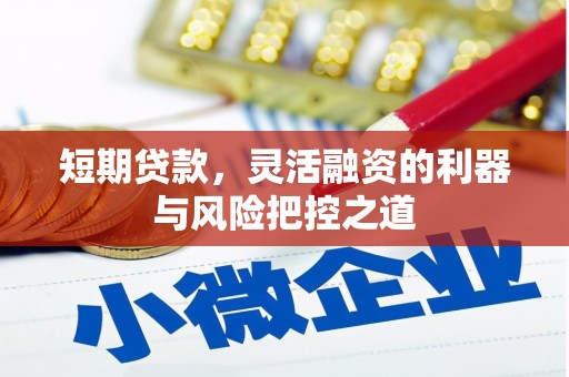 温岭短期贷款，灵活融资的利器与风险把控之道