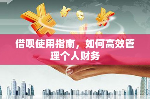 林甸借呗使用指南，如何高效管理个人财务