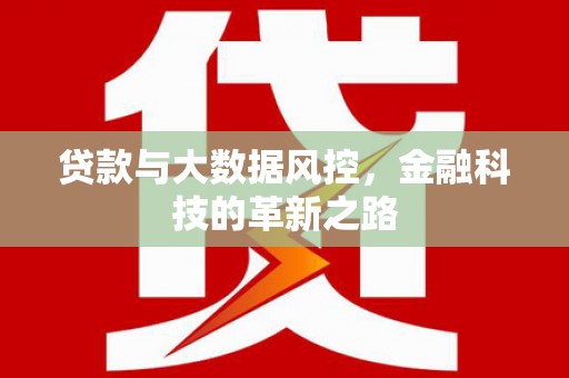 新店贷款与大数据风控，金融科技的革新之路