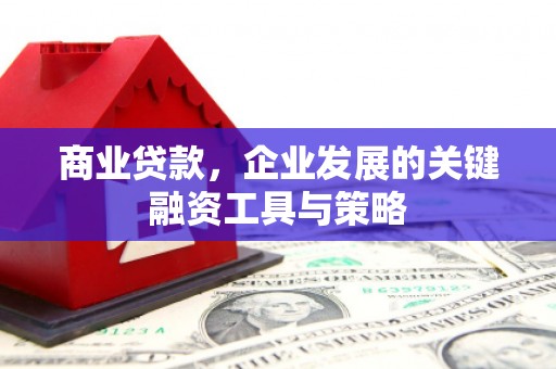 泸西商业贷款，企业发展的关键融资工具与策略