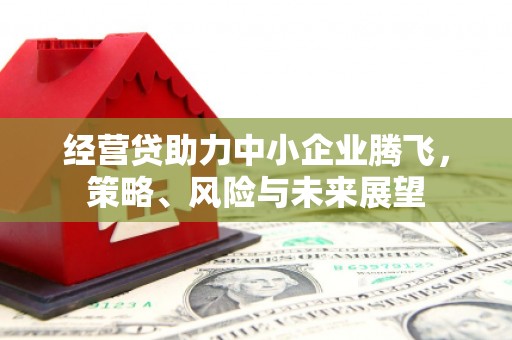 浦东经营贷助力中小企业腾飞，策略、风险与未来展望