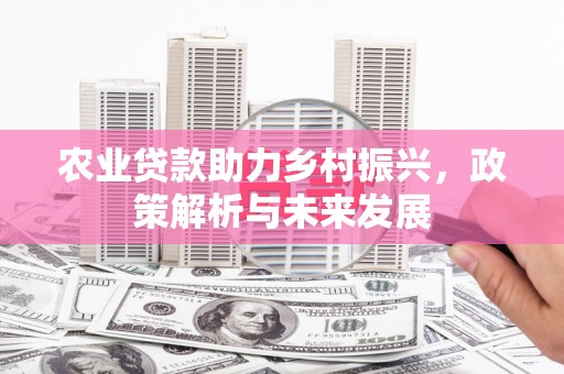 石屏农业贷款助力乡村振兴，政策解析与未来发展