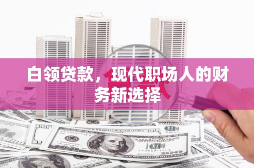 界首白领贷款，现代职场人的财务新选择