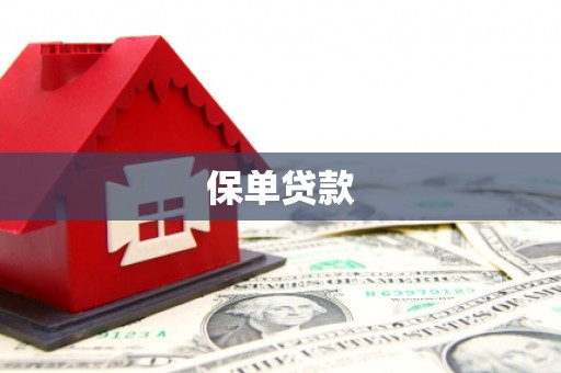 芦洲保单贷款