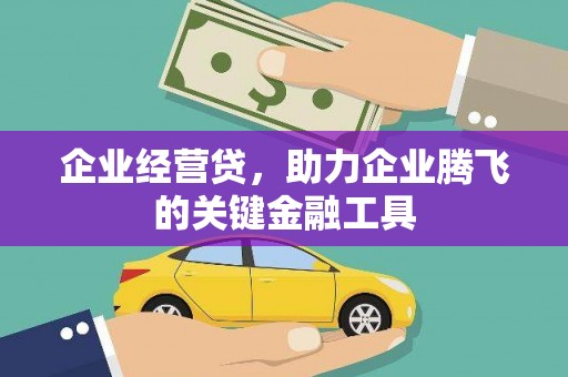 理县企业经营贷，助力企业腾飞的关键金融工具