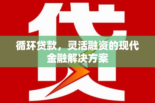 山东循环贷款，灵活融资的现代金融解决方案