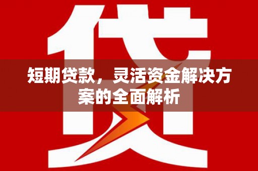 大村短期贷款，灵活资金解决方案的全面解析
