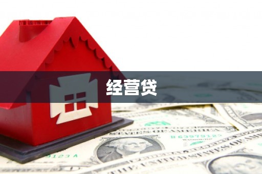 沧县经营贷