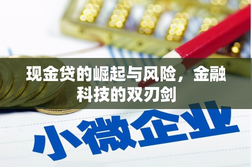 澎湖现金贷的崛起与风险，金融科技的双刃剑