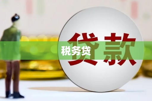 永川税务贷