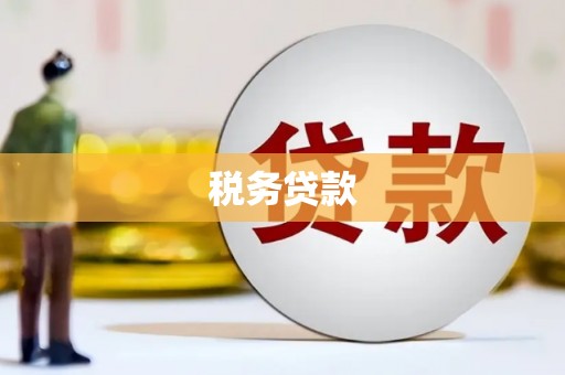 贞丰税务贷款