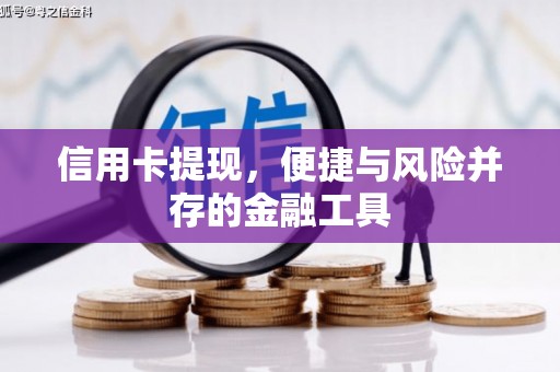荔浦信用卡提现，便捷与风险并存的金融工具
