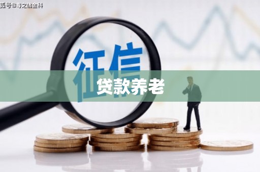 璧山贷款养老