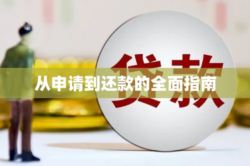 氹仔岛从申请到还款的全面指南