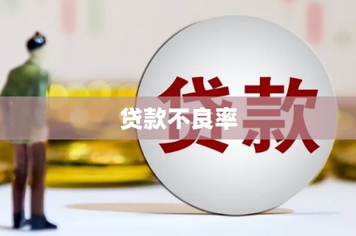 周口贷款不良率