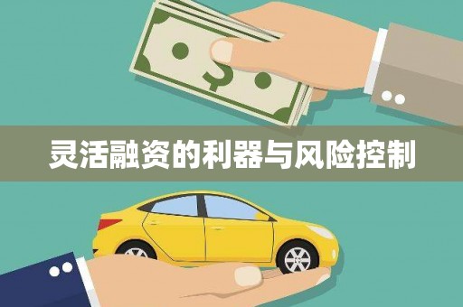 天桥灵活融资的利器与风险控制