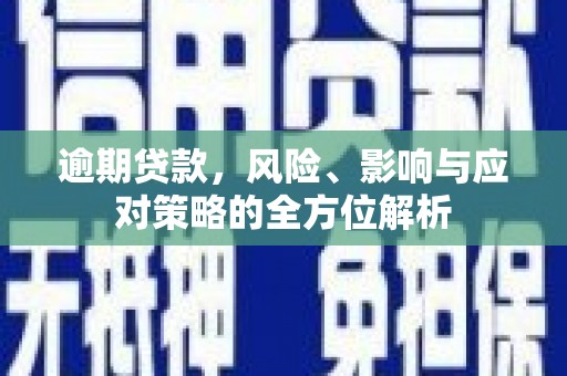 仙游逾期贷款，风险、影响与应对策略的全方位解析