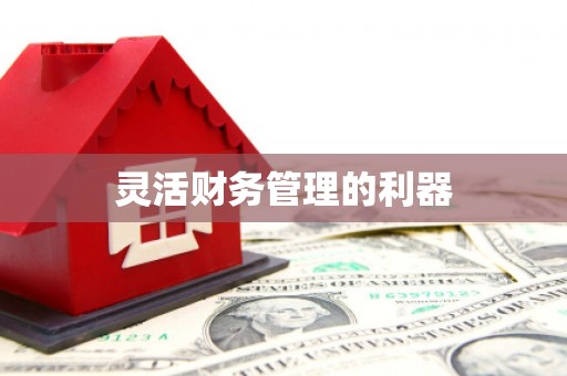临夏灵活财务管理的利器