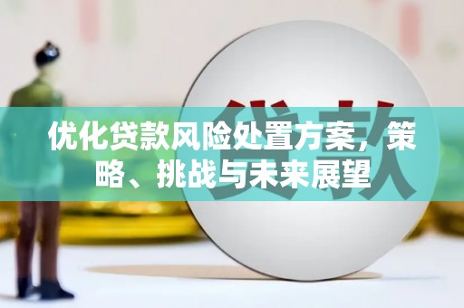 白山优化贷款风险处置方案，策略、挑战与未来展望