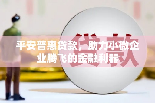 集贤平安普惠贷款，助力小微企业腾飞的金融利器