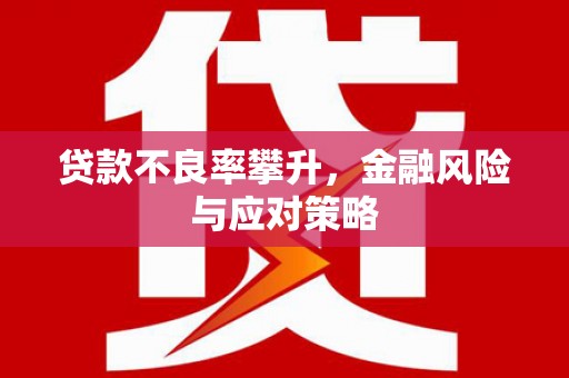 沈北新区贷款不良率攀升，金融风险与应对策略