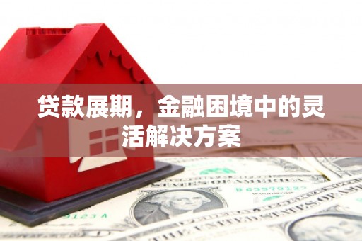 南港贷款展期，金融困境中的灵活解决方案