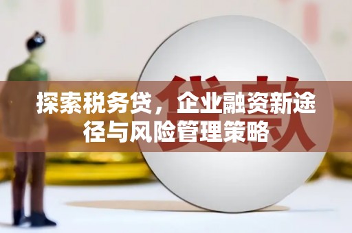 南京探索税务贷，企业融资新途径与风险管理策略