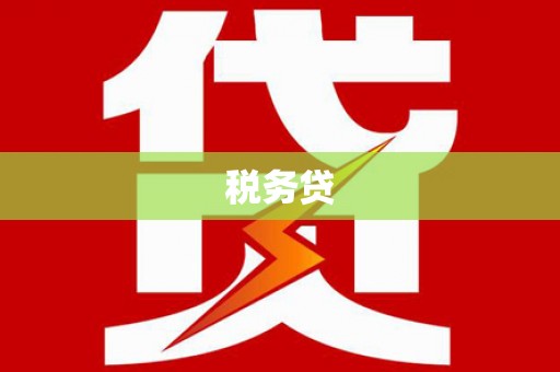 岳麓税务贷
