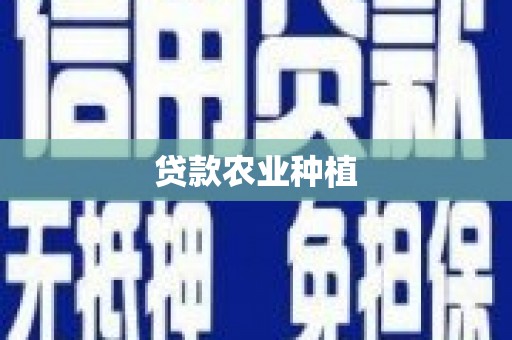 大堂贷款农业种植