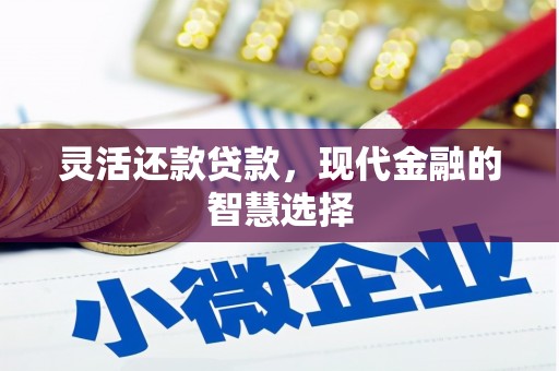 禹城灵活还款贷款，现代金融的智慧选择