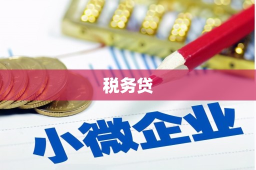 涉县税务贷