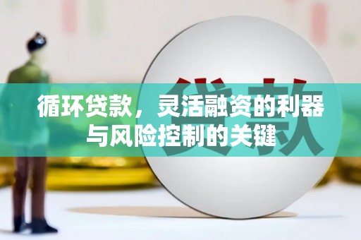 鲤城循环贷款，灵活融资的利器与风险控制的关键