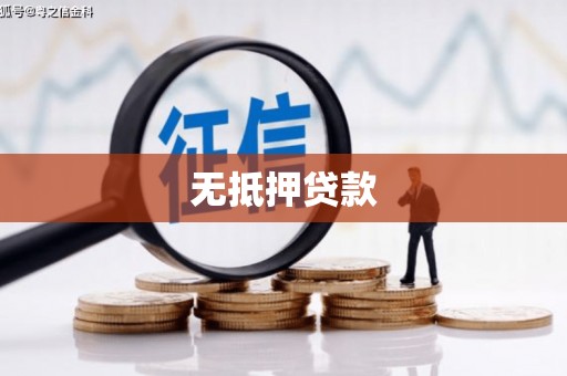 蠡县无抵押贷款