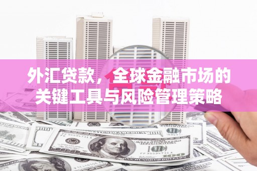景宁外汇贷款，全球金融市场的关键工具与风险管理策略