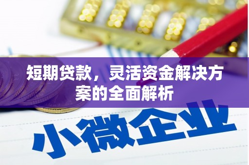 梓潼短期贷款，灵活资金解决方案的全面解析