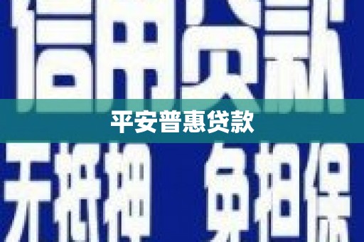望奎平安普惠贷款