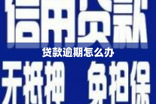 田阳贷款逾期怎么办